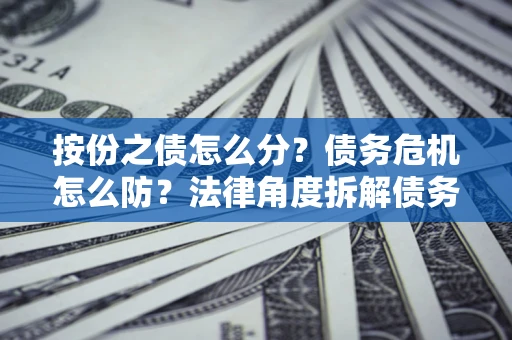 北京按份之债怎么分？债务危机怎么防？法律角度拆解债务分配与风险自保指南