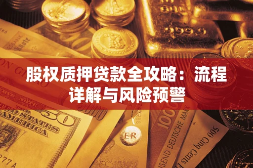 北京股权质押贷款全攻略：流程详解与风险预警