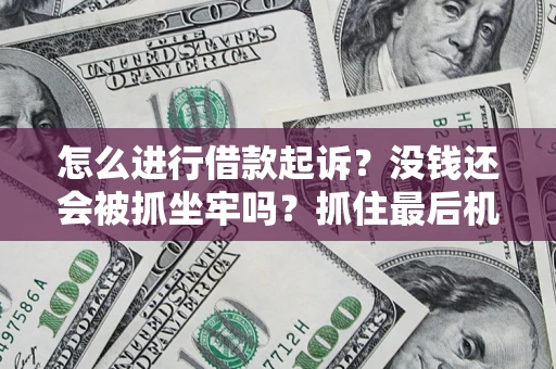 北京怎么进行借款起诉？没钱还会被抓坐牢吗？抓住最后机会！