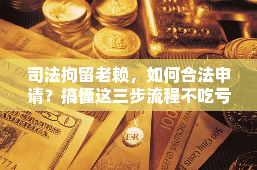 北京司法拘留老赖，如何合法申请？搞懂这三步流程不吃亏！