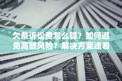 北京欠条诉讼费怎么算？如何避免高额风险？解决方案速看！