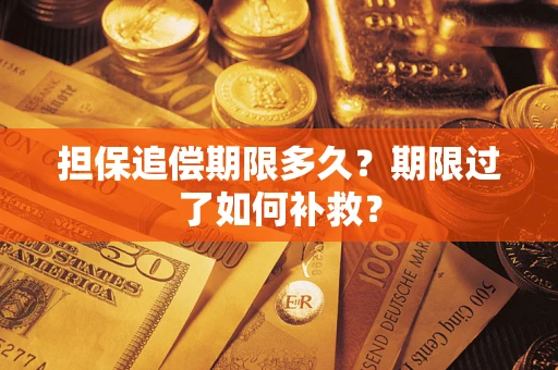北京担保追偿期限多久？期限过了如何补救？
