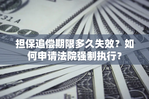 北京担保追偿期限多久失效？如何申请法院强制执行？